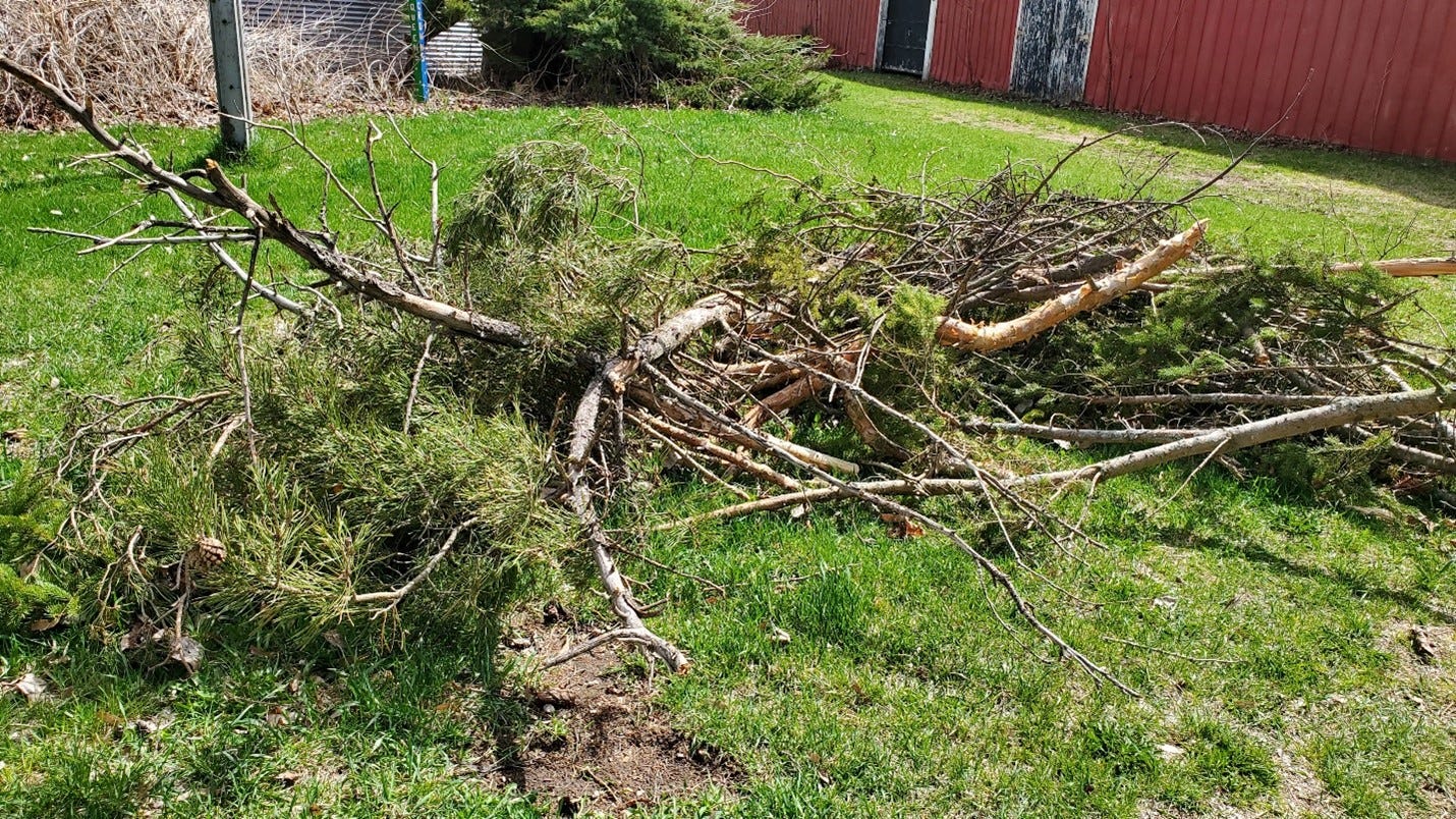 Downed branches from Susan Manzke's trees are a reminder of a April snowstorm that knocked out power to thousands in Northeast Wisconsin.