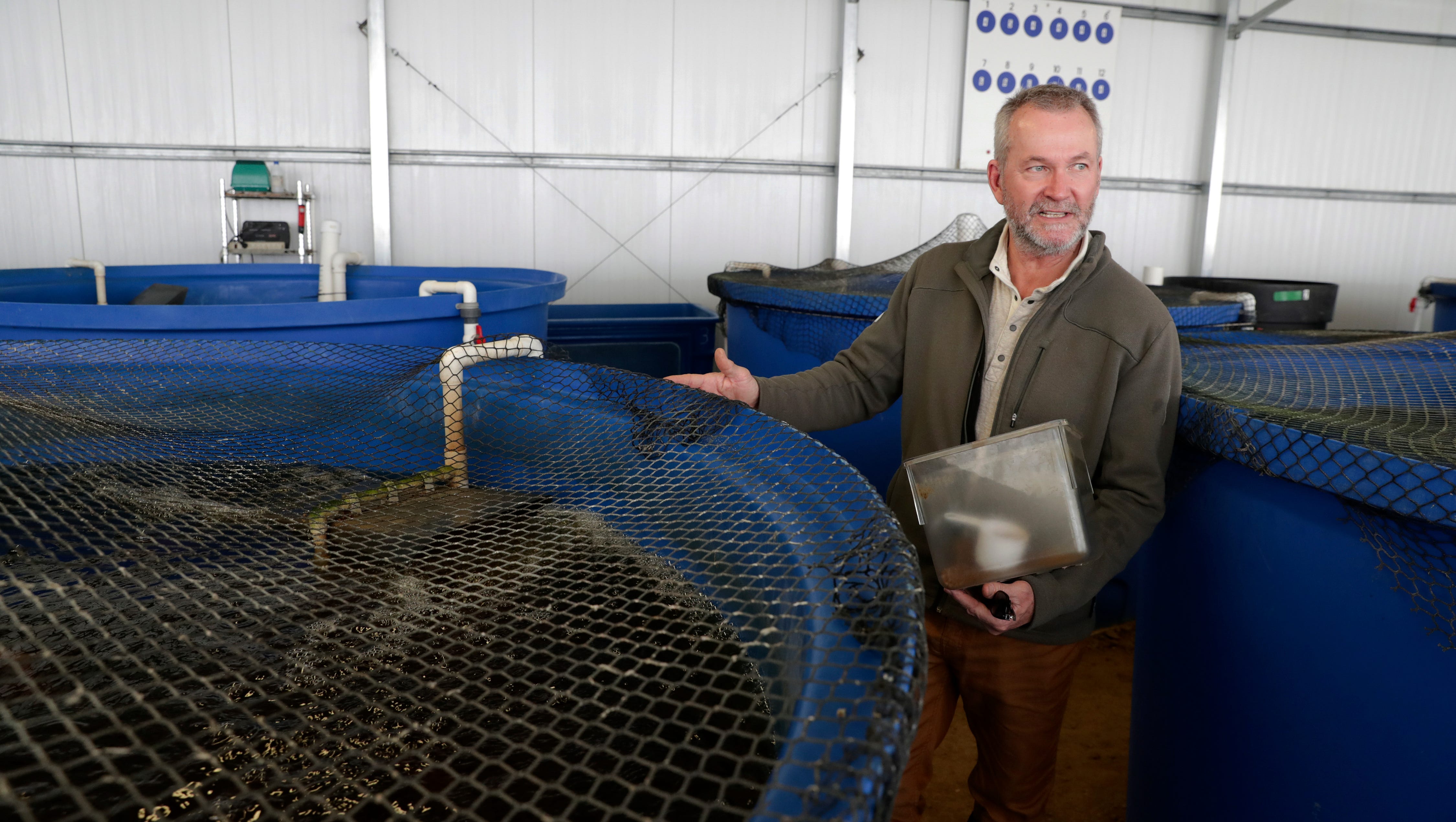 Mike Knight with the tanks of Tilapia. Farming can many forms but for Mike Knight, it includes tilapia and growing fresh vegetables year round all without dirt. Knight's aquaponics farm provides fresh vegetables to local grocery stores and restaurants year round. The farm was photographed Thursday, Feb. 8, 2018.