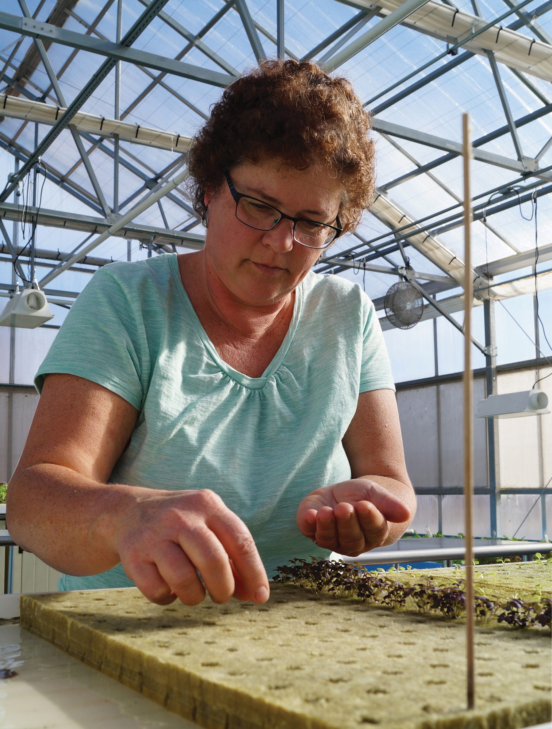 Lois Demmin has worked for Lake Orchard Farm since 2011. She works in the greenhouse and jokingly calls herself the plant relocation specialist.