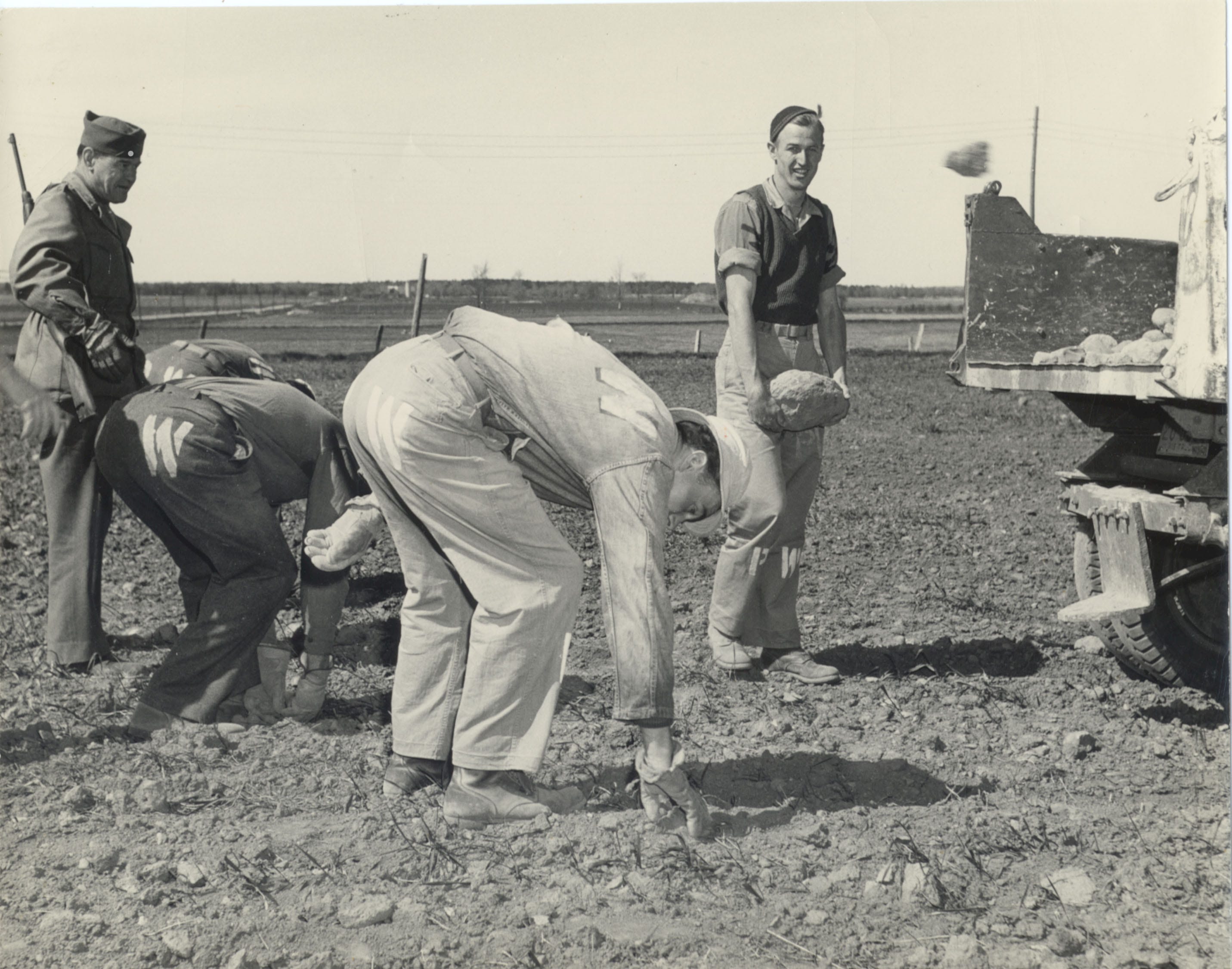 German POWs picking stones from field in Door County during World War II. Wisconsin housed POWs in 38 camps spread throughout the state.