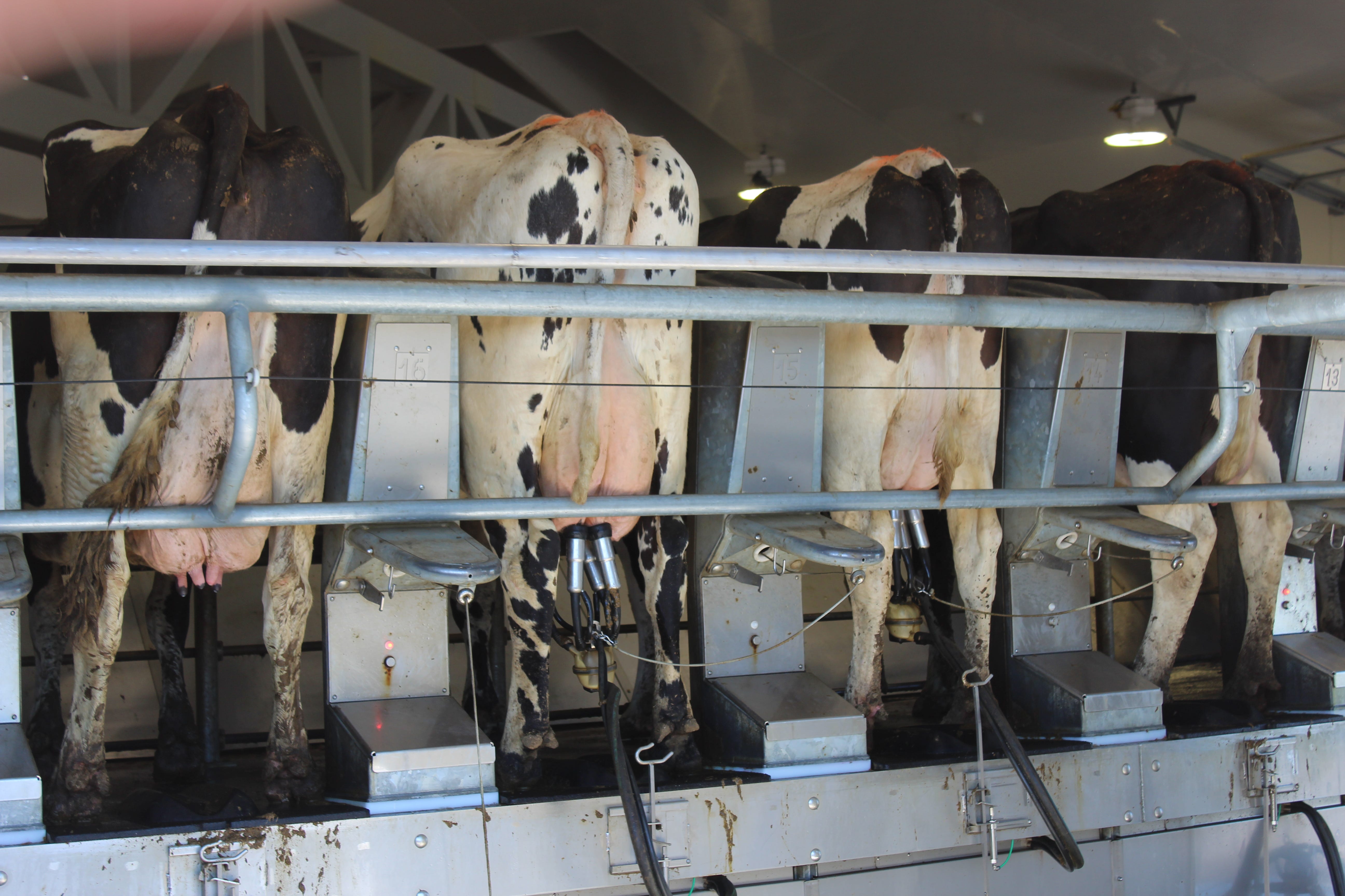 Wisconsin dairy farmers and other producers are feeling the impact of trade uncertainty caused by the coronavirus outbreak.