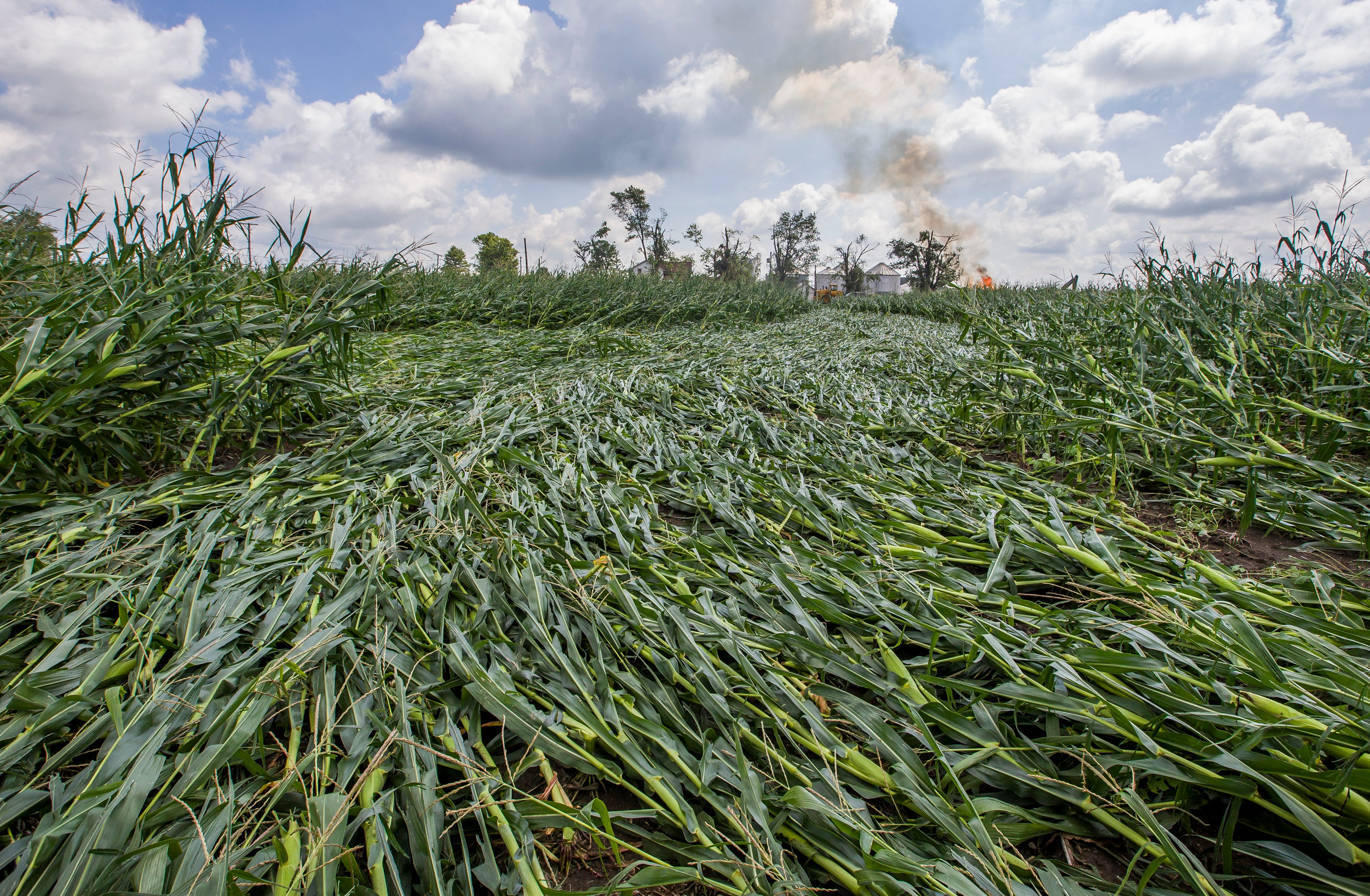 The path of a possible tornado is evident in a cornfield after a powerful storm on Tuesday, Aug. 11, 2020, in Wakarusa, Ind.