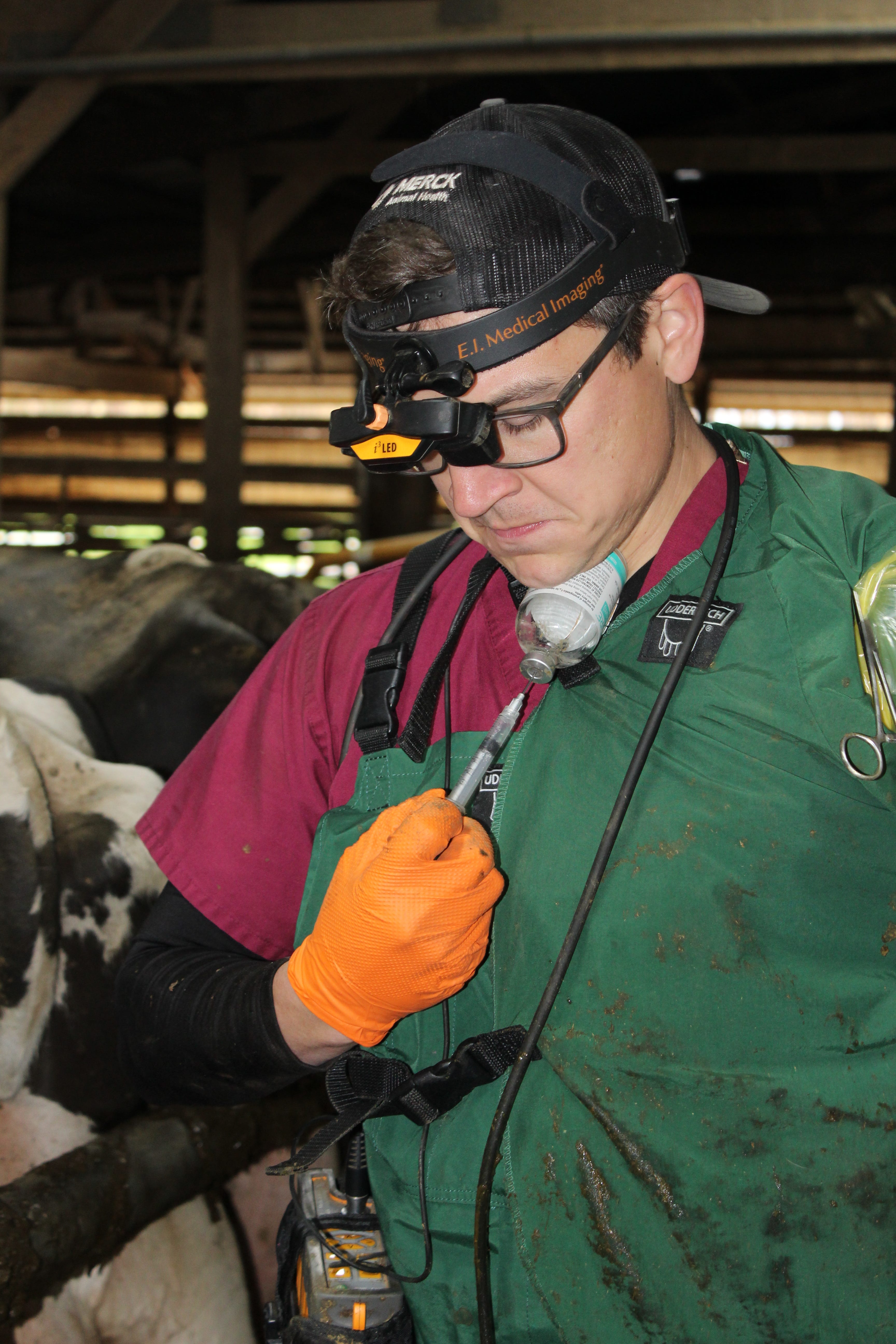 Growing up on the family dairy farm near Sheboygan, Wis., Nick Mayer says his love for cows and veterinary medicine started at a young age while watching their farm vet work on sick cows. At Waupun Veterinary Service, Mayer is able to hone his role in calf and heifer health programs.
